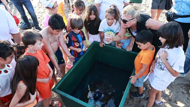 Mersin'de uydu takip cihazı takılan yeşil deniz kaplumbağası denize bırakıldı