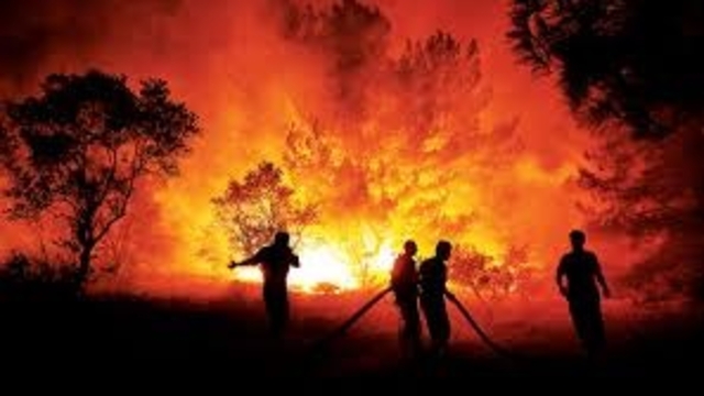 'Uçaktan atılan su sadece yangını geciktirir, esas mücadele yerde yapılır'