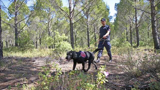 Muğla'da jandarma ekipleri orman yangınlarına karşı teyakkuzda