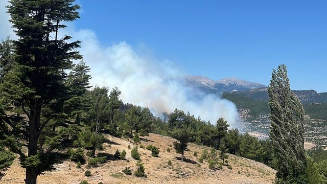 Isparta'da çıkan orman yangınına müdahale ediliyor