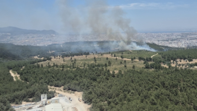 İzmir'in Buca ilçesinde çıkan orman yangınına müdahale ediliyor