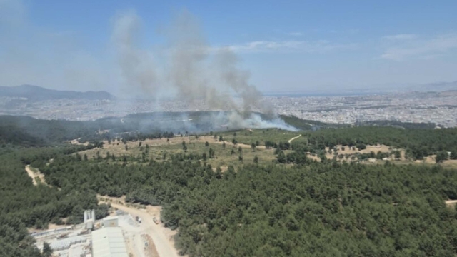 İzmir Buca'da orman yangını