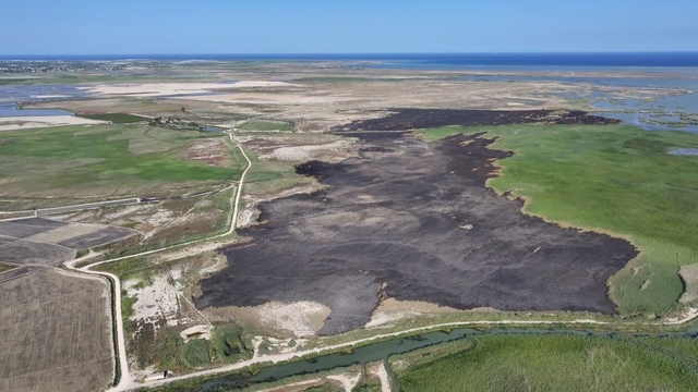 Kuş cenneti Göksu Deltası'nda yangında zarar gören alan havadan görüntülendi