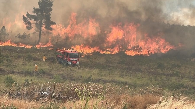Bilecik'te orman yangını