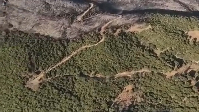 Aydın'daki orman yangını 2'nci gününde kontrol altına alındı (2)