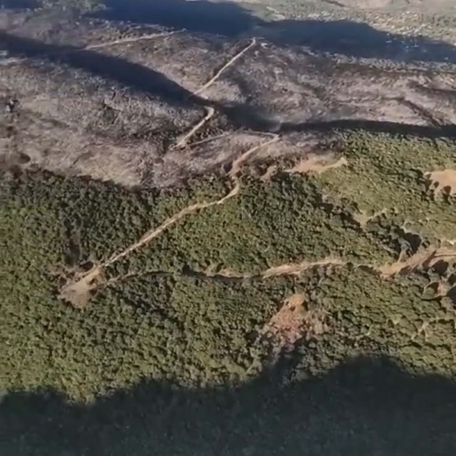 Aydın'daki orman yangını 2'nci gününde kontrol altına alındı (2)