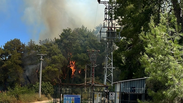 Antalya'nın Manavgat ilçesinde çıkan orman yangınına müdahale ediliyor