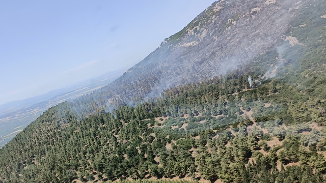 Manisa'nın Saruhanlı ilçesinde çıkan orman yangınına müdahale ediliyor