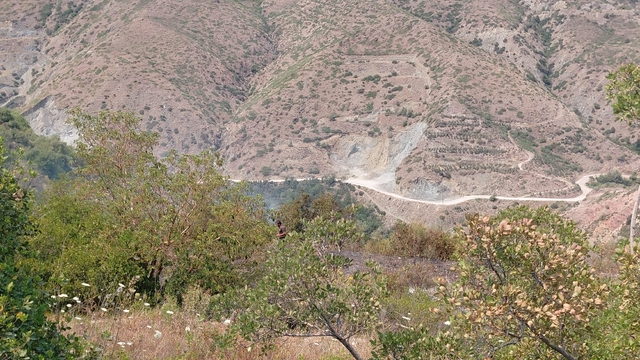 Hatay Samandağ'da makilik alanda çıkan yangın söndürüldü