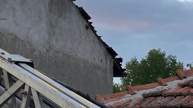 Tokat'ta çatıda kalan kediyi itfaiye kurtardı