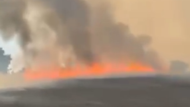 Bursa'da buğday tarlasında çıkan yangın, ağaçlık alana sıçradı