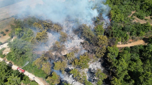 GÜNCELLEME - Antalya'nın Manavgat ilçesinde çıkan orman yangını kontrol altına alındı