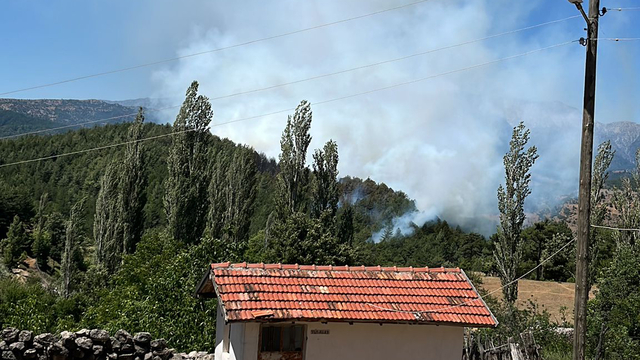 Isparta'da orman yangını (2)