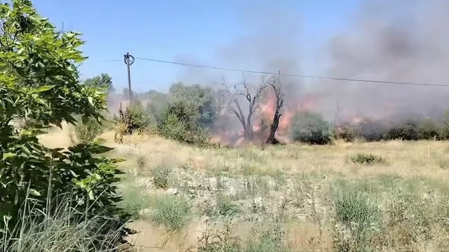 Elazığ'da örtü yangını