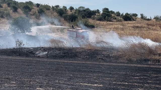 Bursa'da buğday tarlasında çıkan yangın, ağaçlık alana sıçradı (2)