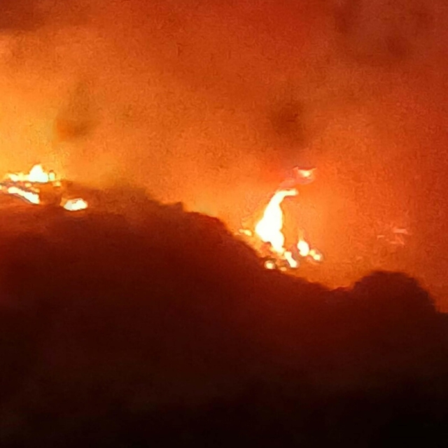 Üzerinde kene bulunan yastığı yakıp, bahçeye atınca yangın çıkmış