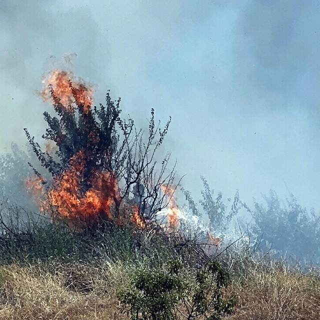 Manisa Turgutlu'da çıkan orman yangını, 2,5 saatte kontrol altına alındı