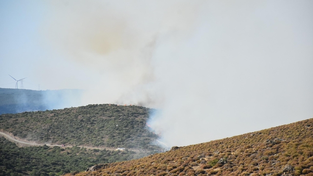İzmir'de orman yangınında 3'ncü günde (4)
