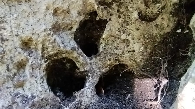 Jandarmadan kaçak kazıya suçüstü