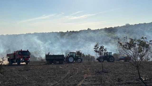 Edirne'de biçerdöverde başlayıp ormanlık alana sıçrayan yangın söndürüldü