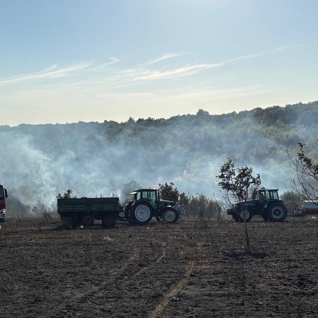 Edirne'de biçerdöverde başlayıp ormanlık alana sıçrayan yangın söndürüldü
