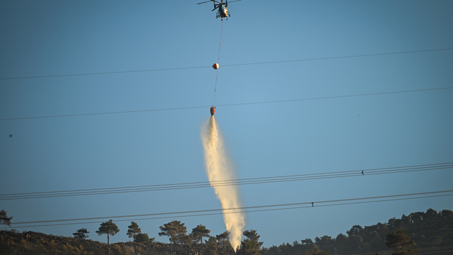 Hatay'daki orman yangınında zarar gören alanlar dronla görüntülendi