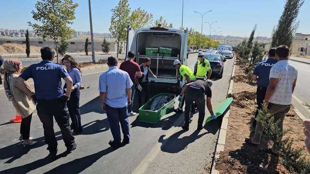 Yolun karşısına geçmeye çalışırken otomobil çarpmasıyla öldü