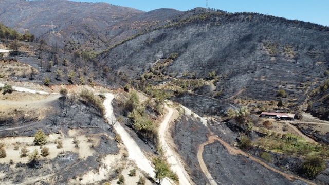 Hatay'da yanan alanlar havadan görüntülendi