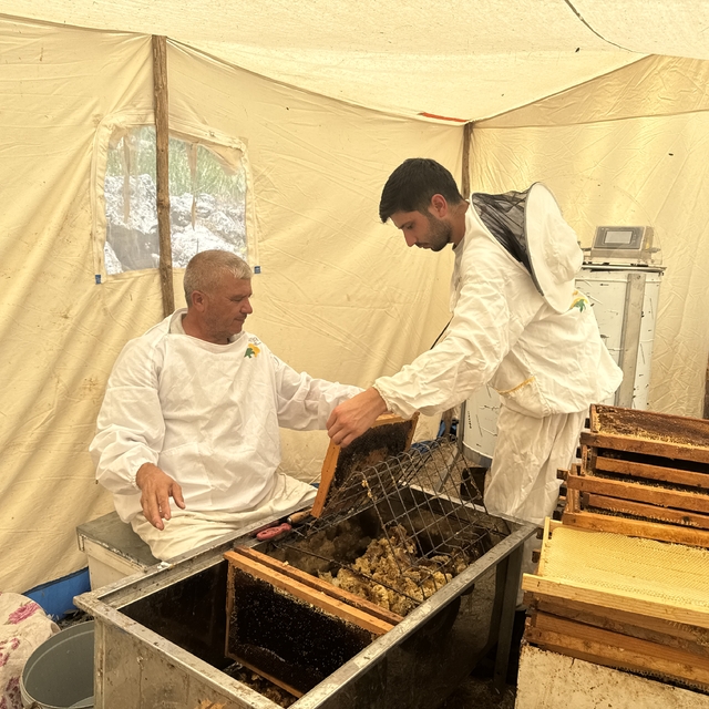 Gezgin arıcı baba ve oğlu kaliteli bal için omuz omuza çalışıyor