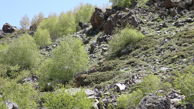 Bitlis'ten binlerce yıllık tarihi mekanlara götürüldüğü belirlenen obsidiyenlerin izleri araştırılacak