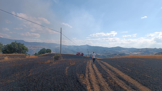 Çorum'da 25 dönüm buğday tarlası yandı