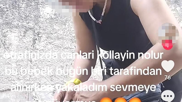 Sokak kedilerine iğne yapıp sosyal medyadan paylaşan kadına hayvanseverlerden tepki