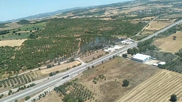 Bursa'da ağaçlık alanda yangın (2)