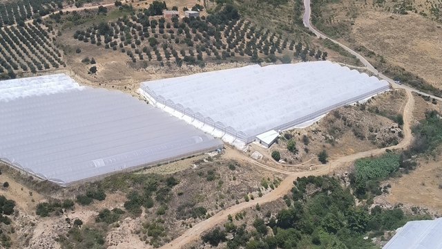 Antalya'da makilik alanda çıkan yangına müdahale ediliyor