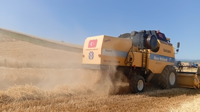 Vezirköprü'de buğday tarlalarında hasat mesaisi başladı