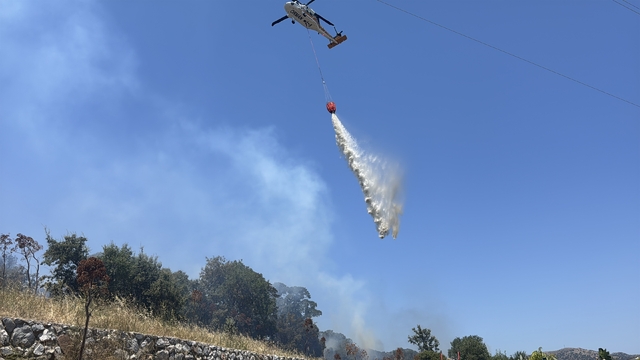 Bodrum'da tarım arazisi ve otluk alanda çıkan yangın söndürüldü