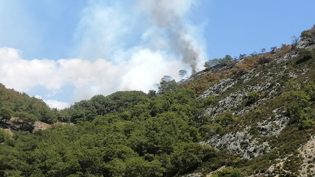Antalya'da orman yangını