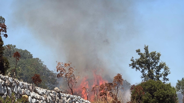 Bodrum'daki yangında 2 hektar alan zarar gördü