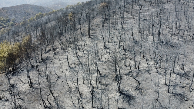 Hatay'da yanan alanlar havadan görüntülendi (3)