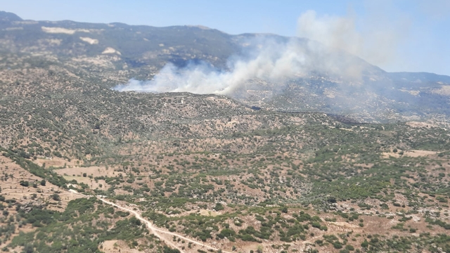 Aydın'ın Çine ilçesinde tarım alanı ve makilikte yangın çıktı