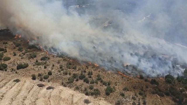 Aydın'da tarım arazisi ile maki yangını
