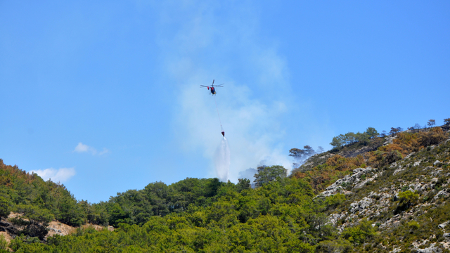 Antalya'da orman yangını kontrol altına alındı (2)