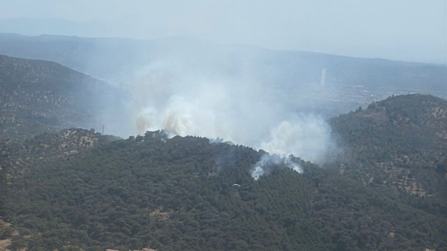 Balıkesir'in 3 ilçesinde çıkan arazi ve orman yangınlarına müdahale ediliyor