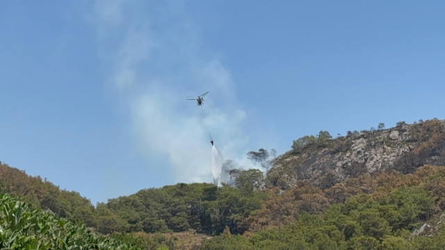 Antalya'da çıkan orman yangını söndürüldü
