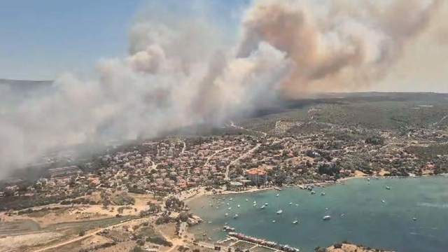 İzmir Çeşme'de orman yangını