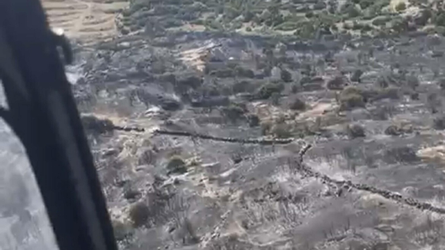 Aydın'da tarım arazisi ile maki yangını kontrol altına alındı (2)