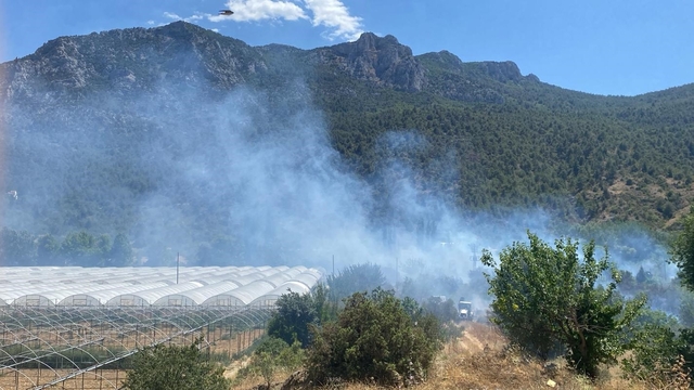 Bilecik'te tarım arazisinde çıkan yangın kontrol altına alındı