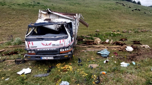 Kars'ta devrilen kamyonetteki 2 kişi yaralandı, 17 küçükbaş telef oldu