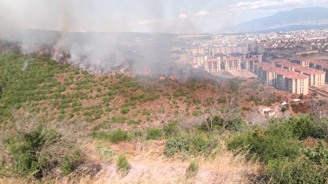 Kocaeli'de orman yangını (2)