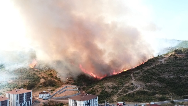 Kocaeli'de orman yangını (4)